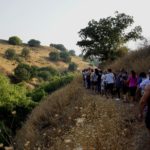 Group hike at the 2017 PATHWAYS Negotiation Education Summer Institute