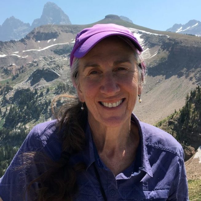 Amy Fields - 2018-2019 NET Fellowship Amy Fields